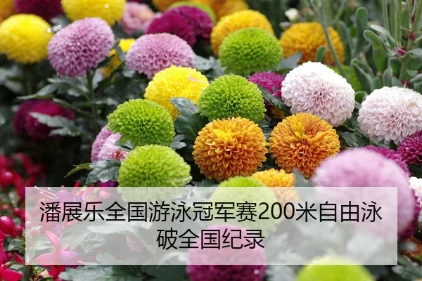 潘展乐全国游泳冠军赛200米自由泳破全国纪录